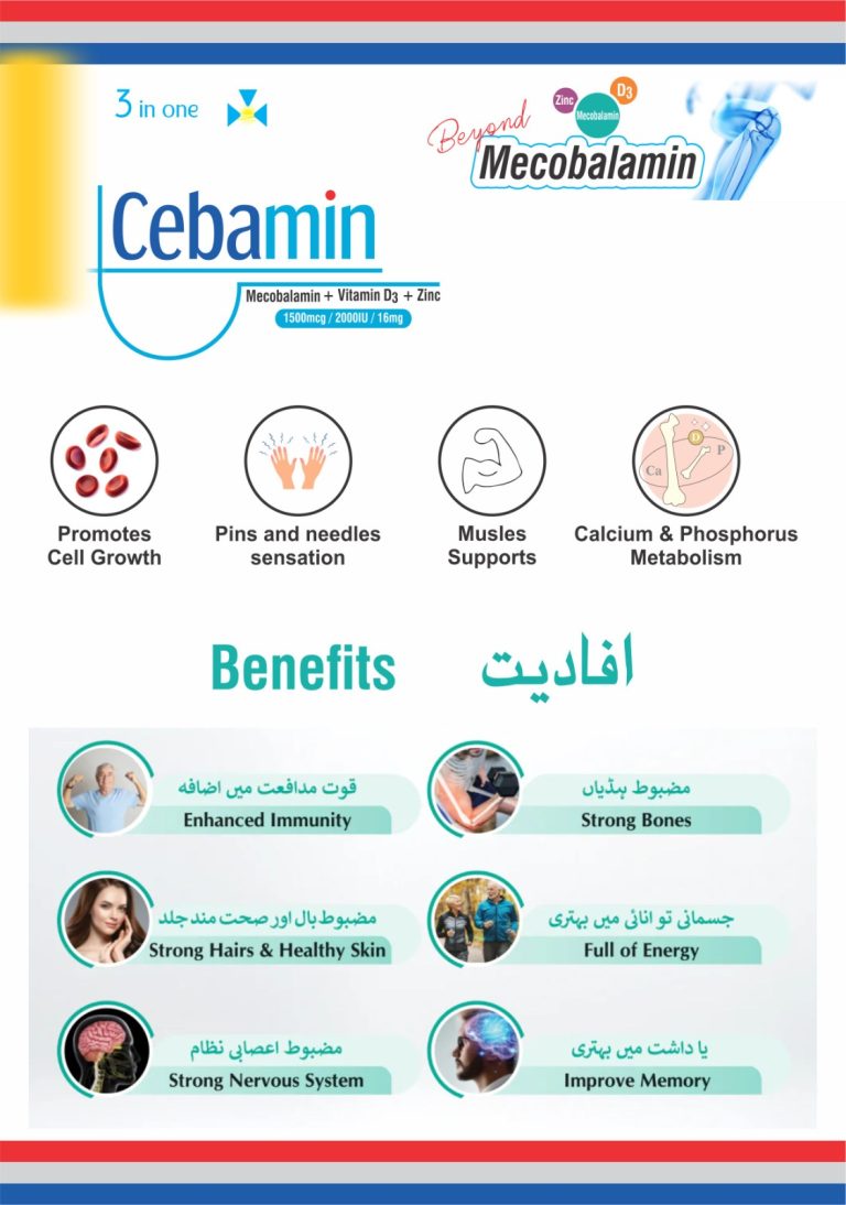 WhatsApp Image 2025-11-24 at 3.54.55 PM